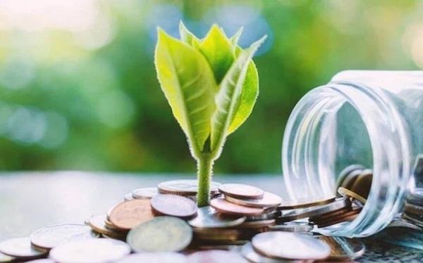 43 doanh nghiệp trả cổ tức tiền mặt tuần từ 27-315