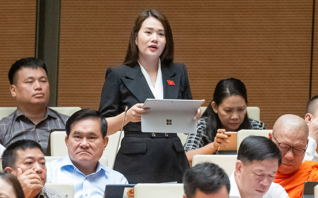 Đại biểu Quốc hội lo nghèo hóa khi bãi bỏ quy định lương hưu tối thiểu