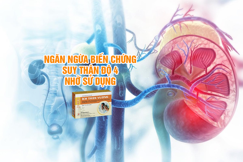 Ngăn ngừa biến chứng suy thận độ 4 nhờ sử dụng Ích Thận Vương