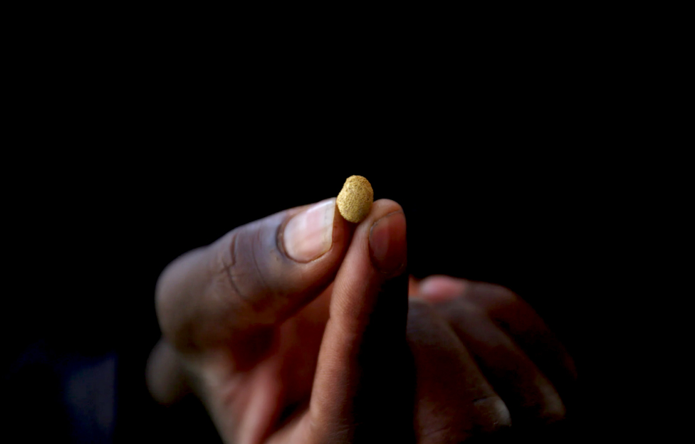 Con đường ‘vàng lậu’ từ châu Phi đến Trung Đông