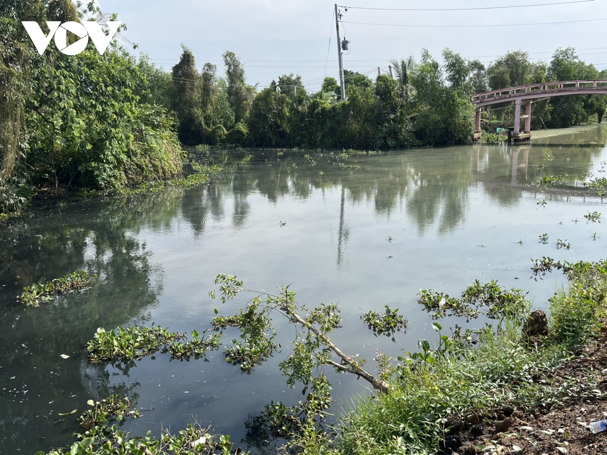 Long An Gây ô nhiễm môi trường, Công ty An Hưng Nông bị đề nghị phạt nặng