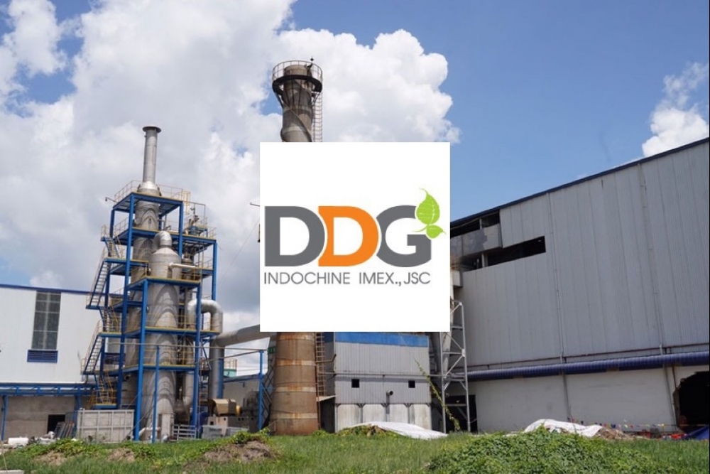 Diễn biến cổ phiếu tiêu cực, Tổng Giám đốc Indochine Imex (DDG) lại có động thái bán ra lượng lớn cổ phiếu