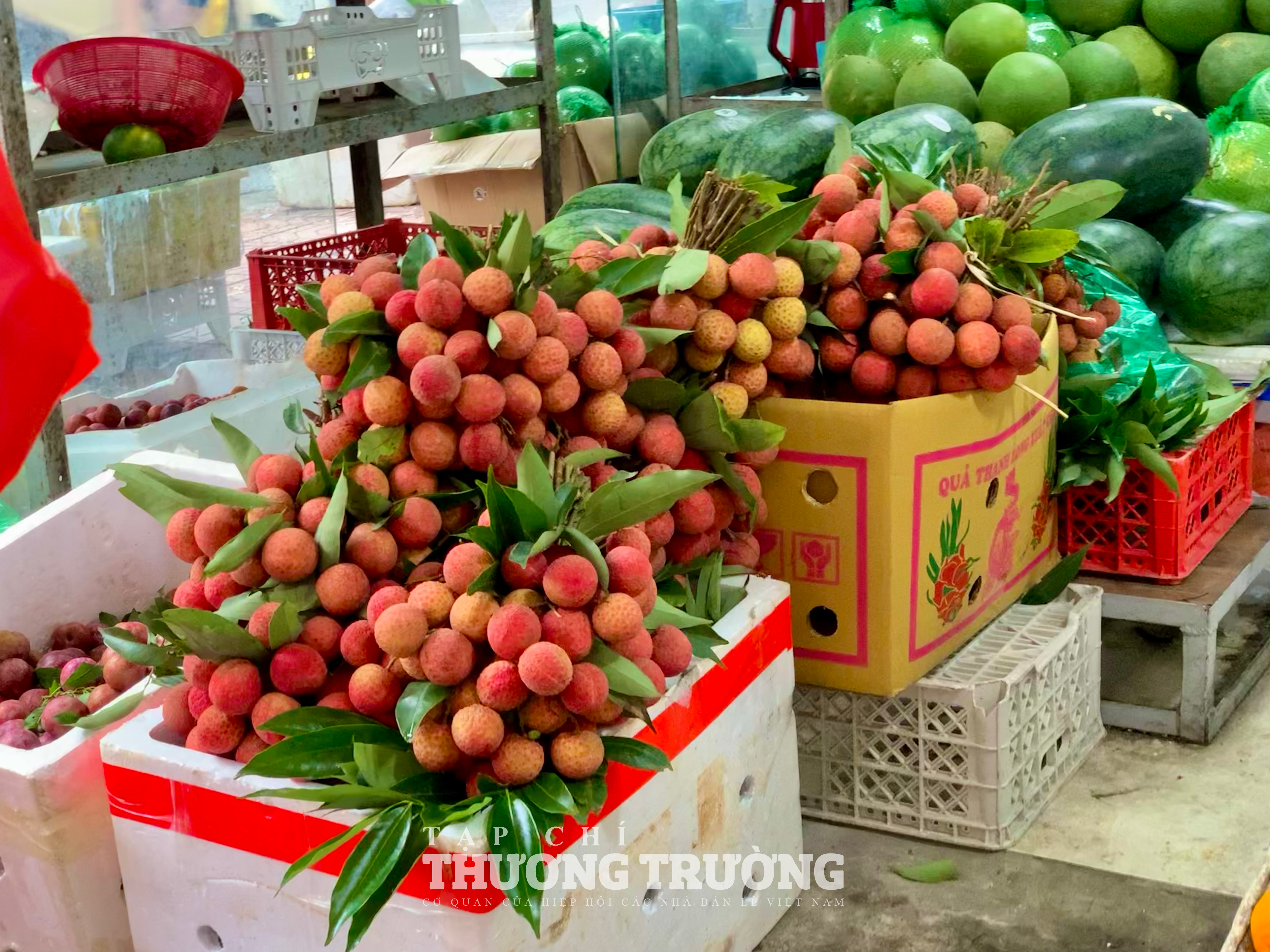 Thị trường vải thiều vào mùa