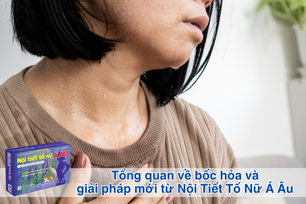 Tổng quan về bốc hỏa và giải pháp mới từ Nội Tiết Tố Nữ Á Âu