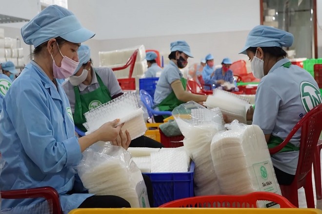 Ưu đãi thuế với doanh nghiệp nhỏ và siêu nhỏ, nuôi dưỡng nguồn thu lâu dài cho ngân sách