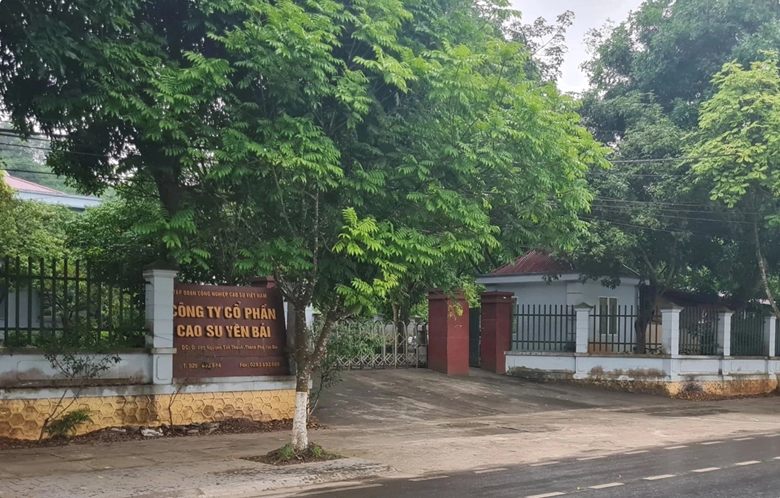 Thanh tra chỉ rõ loạt vi phạm trong quản lý, sử dụng đất của Công ty Cao su Yên Bái 