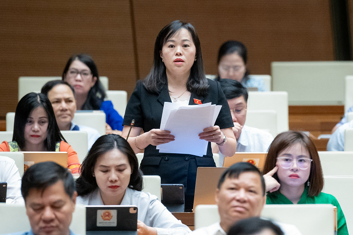 ĐBQH Cân nhắc việc áp dụng mức thuế suất 5% đối với phân bón