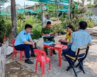 Tây Ninh Xử phạt một công ty kinh doanh cây cảnh vi phạm về thương mại điện tử 