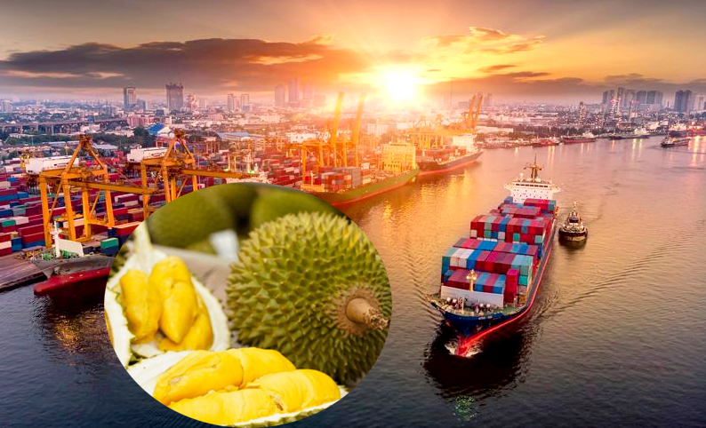 Xuất khẩu khởi sắc, ngành rau quả tiếp tục tăng mạnh