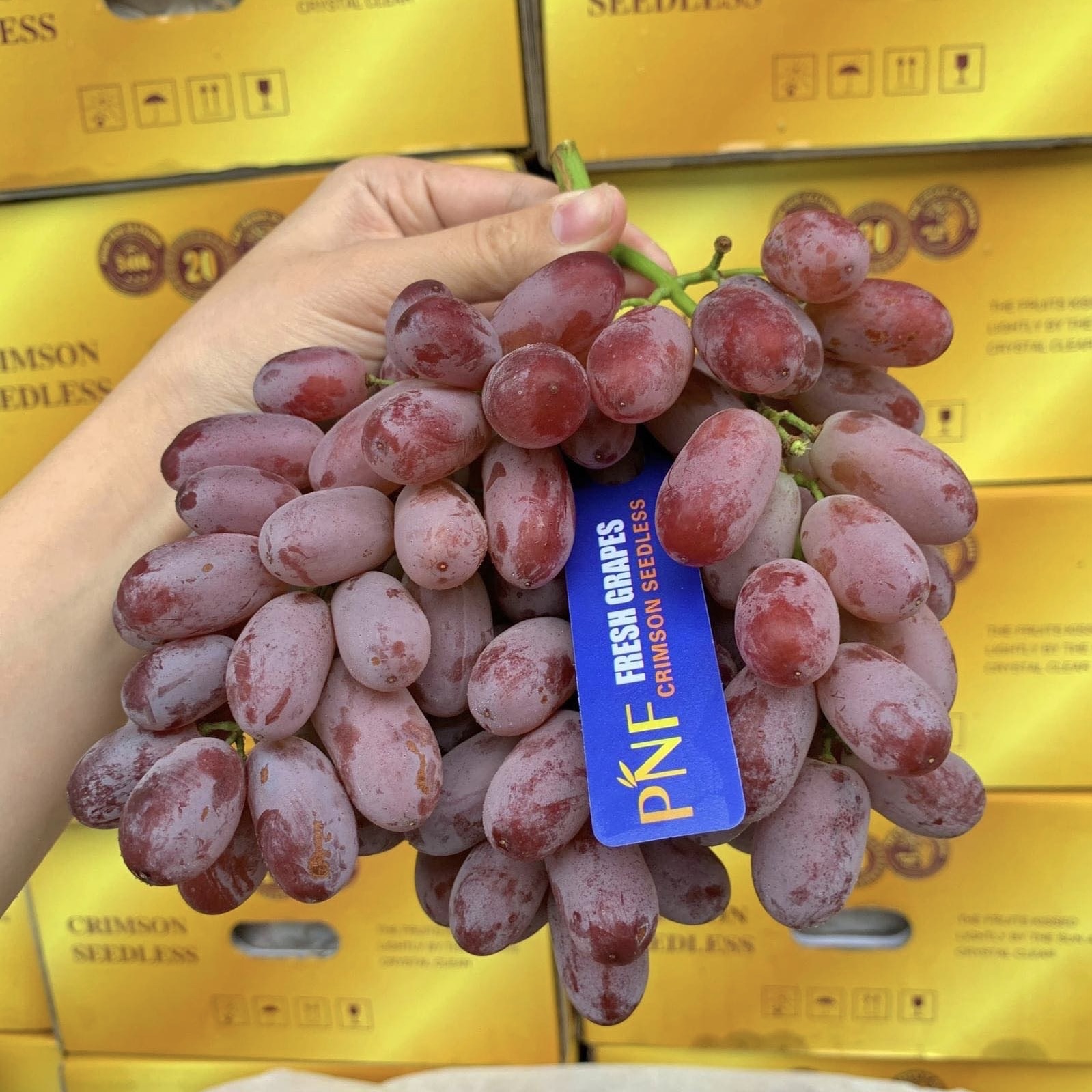 Nho ngoại tràn ngập chợ Việt, giá rẻ như rau