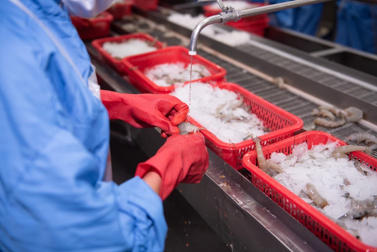 Xuất khẩu thủy sản tháng 7 tăng trưởng cao nhất từ đầu năm