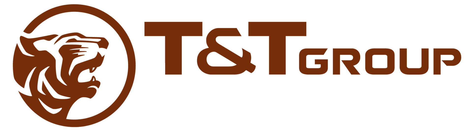 Tập đoàn T&T