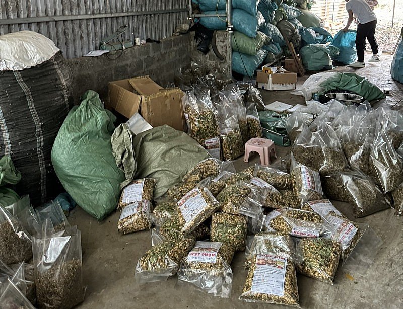 Người tiêu dùng lạc trong ‘ma trận’ thuốc nam giả