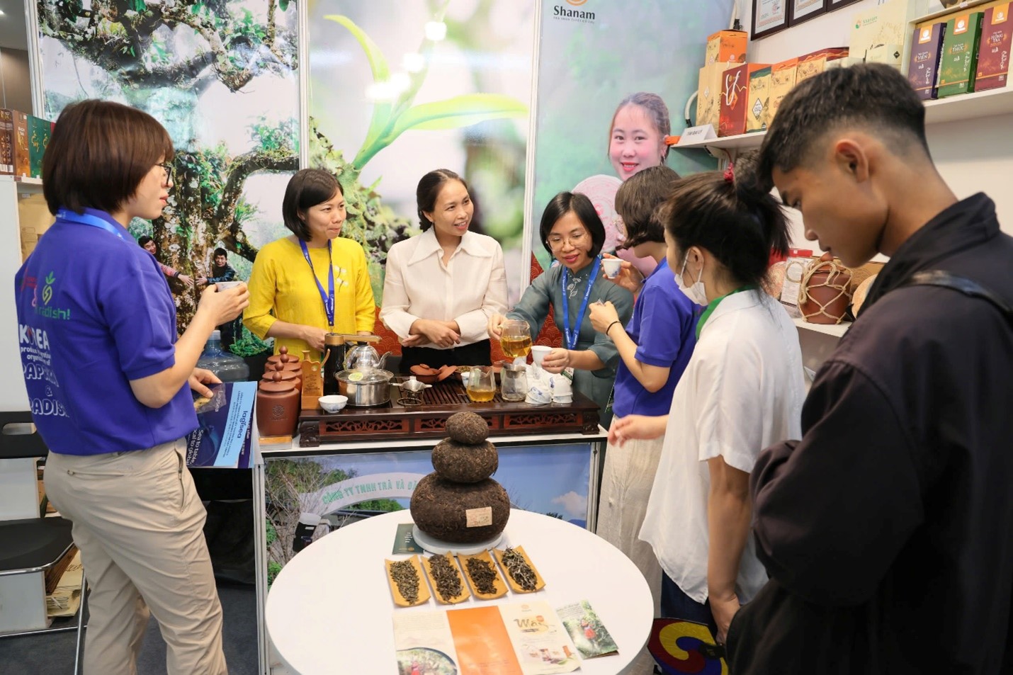 Thưởng thức hương vị của đất trời - Trà shan tuyết cổ thụ giữa lòng Tp.Hồ Chí Minh