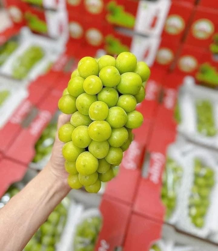 Giải mã nho quý tộc của có giá siêu rẻ tại thị trường Việt Nam