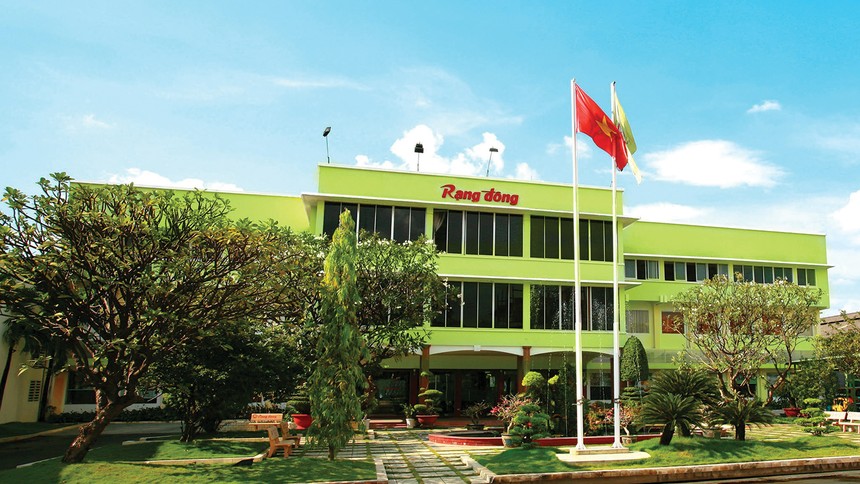 Chủ tịch HĐQT liên tục bị giải chấp cổ phiếu, điều gì đang xảy ra với Rạng Đông Holding (RDP)