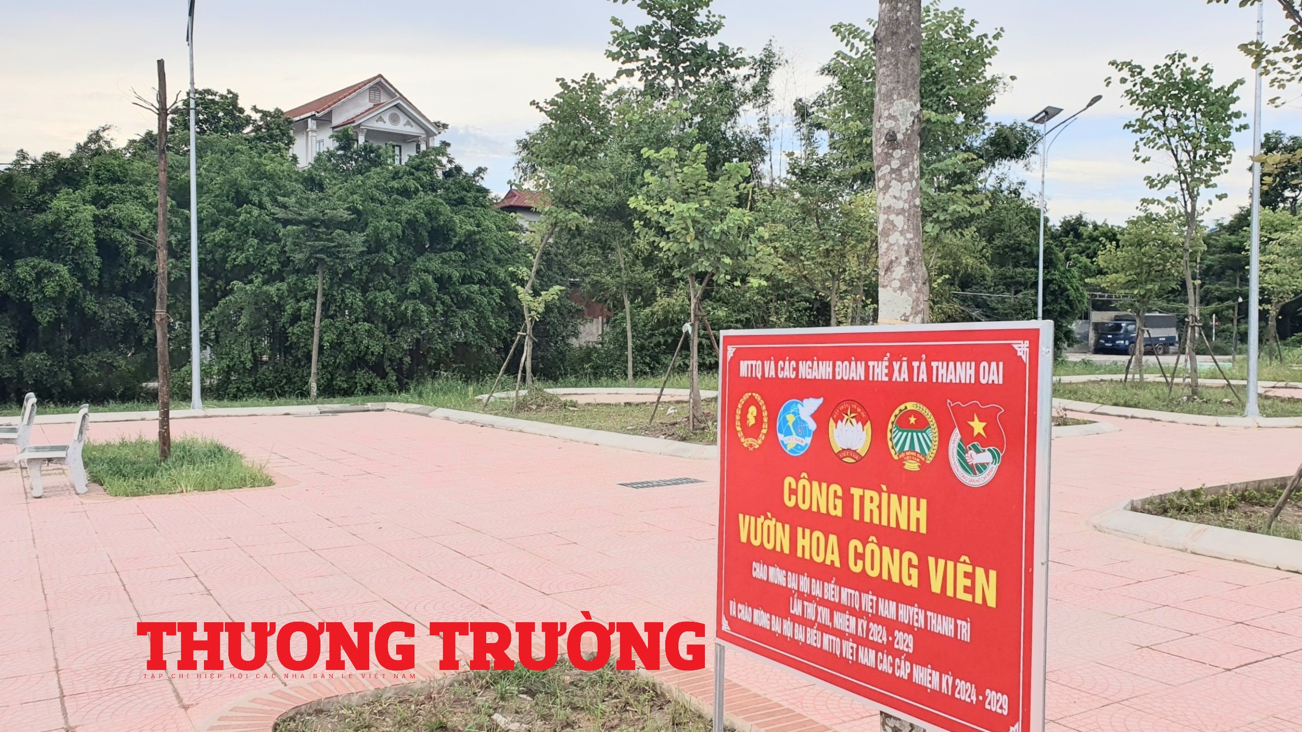 Thanh Trì (Hà Nội) Cây xanh chết hàng loạt tại các gói thầu của Công ty Cây xanh Đô thị