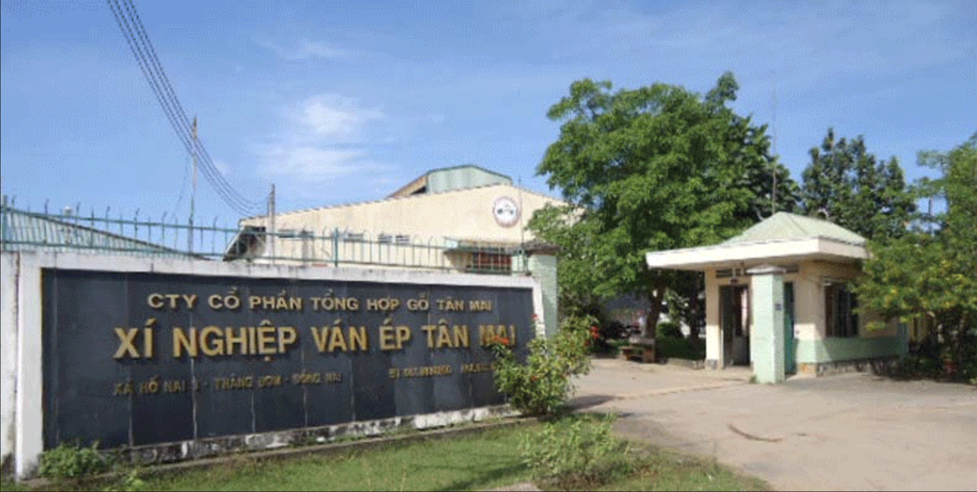 Kinh doanh khó khăn, Gỗ Tân Mai rao bán cơ sở ván ép ở Đồng Nai