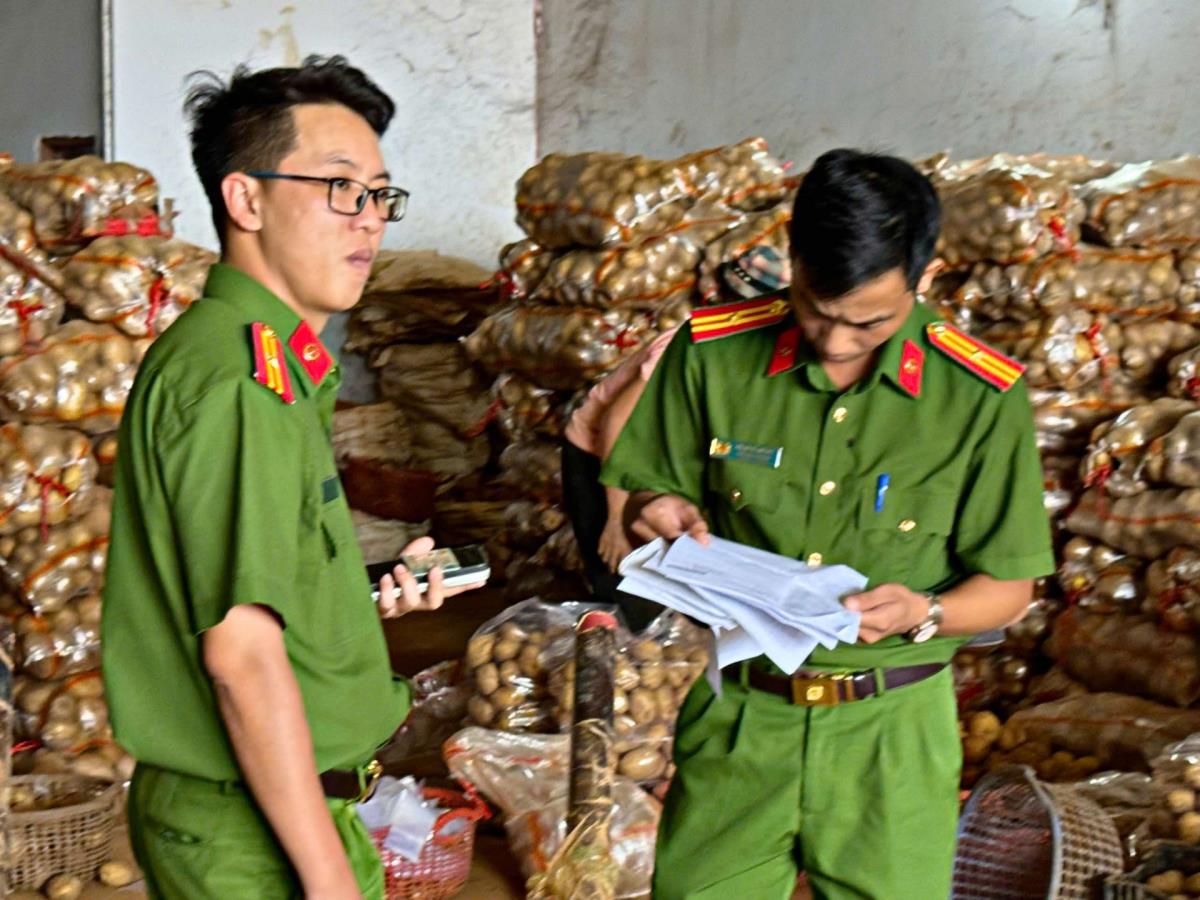 Phát hiện nhiều vựa nông sản trộn đất đỏ vào khoai tây Trung Quốc hồ biến thành khoai tây Đà Lạt