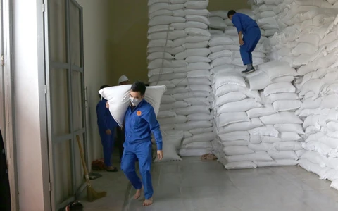 Sẵn sàng hàng dự trữ quốc gia để ứng phó siêu bão Yagi