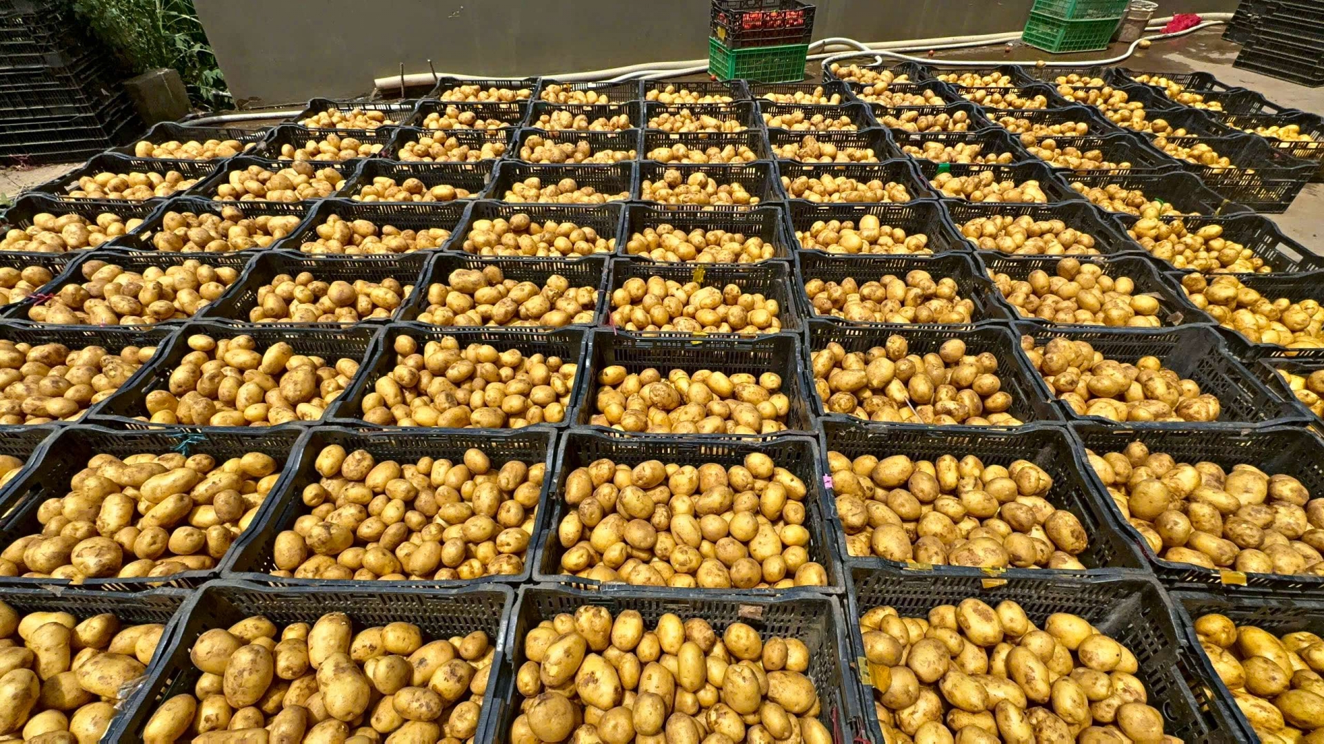 Lâm Đồng Siết chặt quản lý các cơ sở kinh doanh nông sản