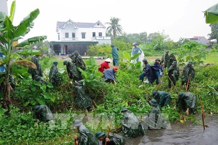 Giá lúa gạo hôm nay 89 Gần 300 ha lúa, rau màu bị gãy đổ do bão số 3