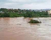 Hải Dương Cảnh báo lũ “Báo động số 1” trên hệ thống sông Thái Bình 