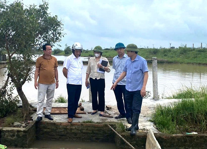 Hải Dương Hệ thống đê điều vẫn cơ bản ổn định, an toàn