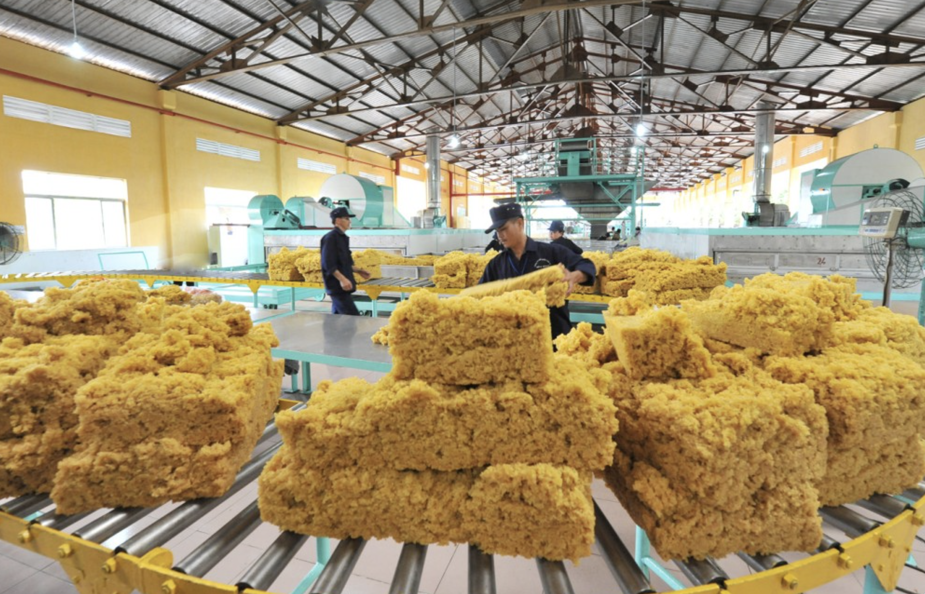 Xuất khẩu cao su giảm tháng thứ 5 liên tiếp