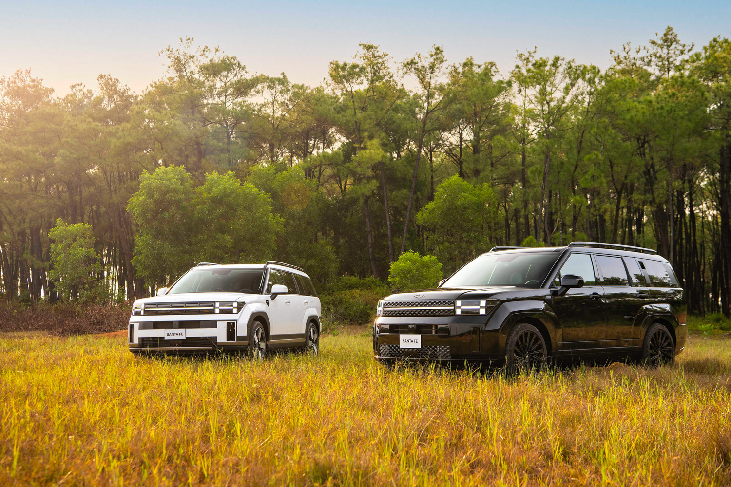 Hyundai Santa Fe hoàn toàn mới chính thức ra mắt tại Việt Nam