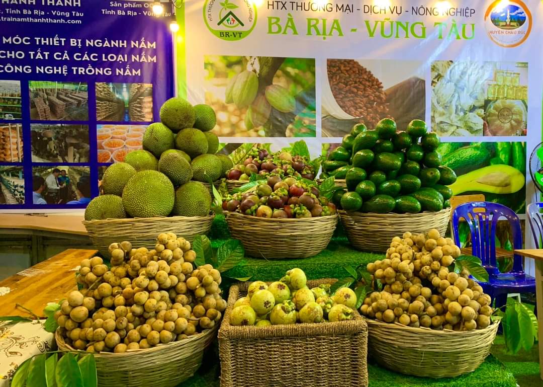 Hơn 2.000 doanh nghiệp tham gia hội nghị kết nối cung cầu giữa TPHCM và các tỉnh, thành