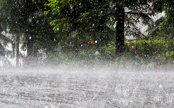 Dự báo thời tiết 239 Gió mùa Đông Bắc tiếp tục ảnh hưởng đến Bắc Bộ và Bắc Trung Bộ