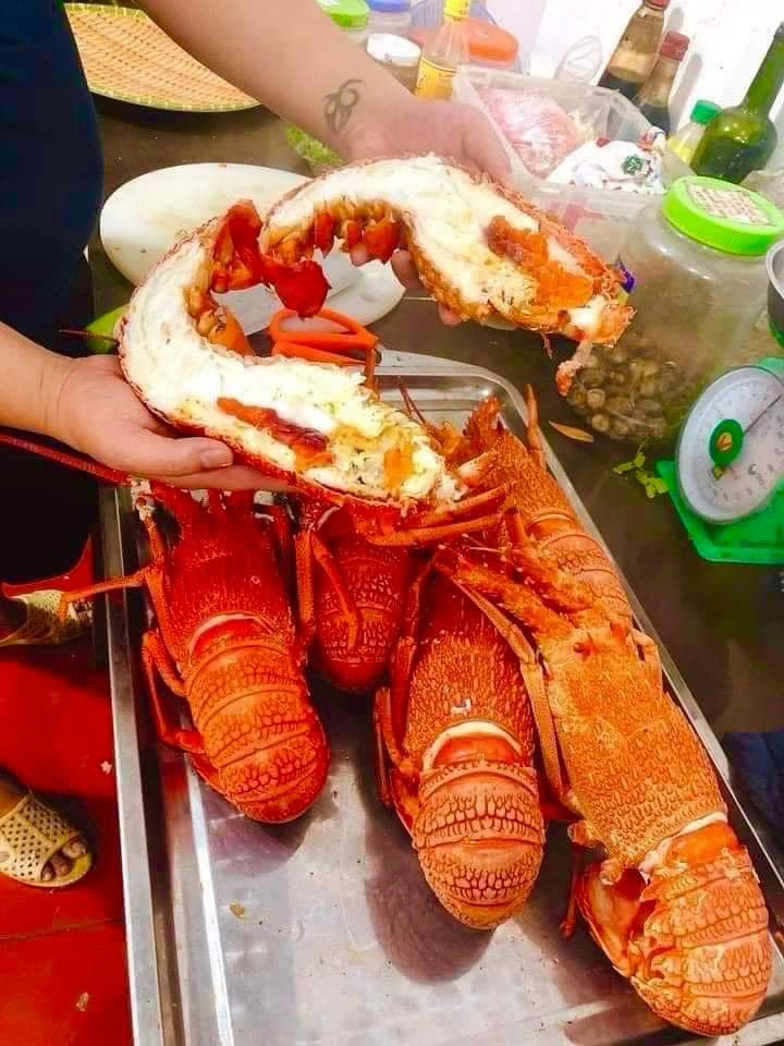 Hải sản ‘quý tộc ngập tràn chợ mạng với giá siêu rẻ