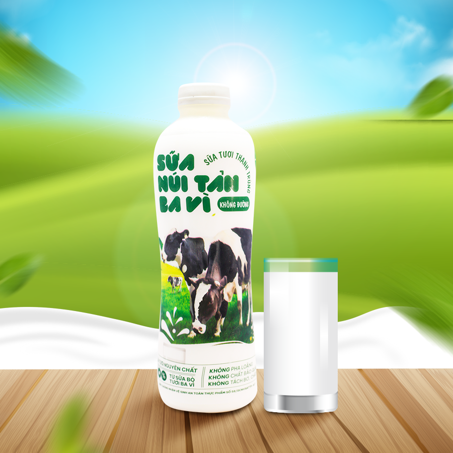 Mới được cấp chứng nhận GMP nửa tháng, sản phẩm của Công ty Sữa Núi Tản Ba Vì đã nằm trong suất ăn bán trú từ hơn 1 năm