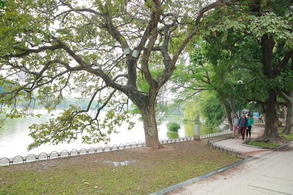 Dự báo thời tiết 289 Bắc Bộ có nơi sương mù nhẹ, ngày nắng