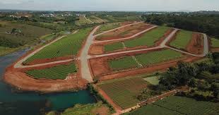 Điều kiện diện tích tối thiểu được tách thửa đất, hợp thửa đất tại Lâm Đồng quy định thế nào