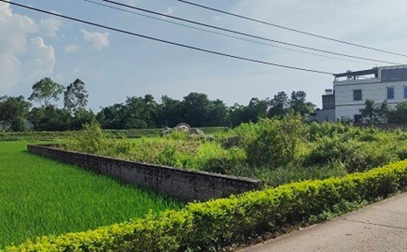 Quy định về hạn mức nhận chuyển nhượng đất nông nghiệp tại TPHCM ra sao