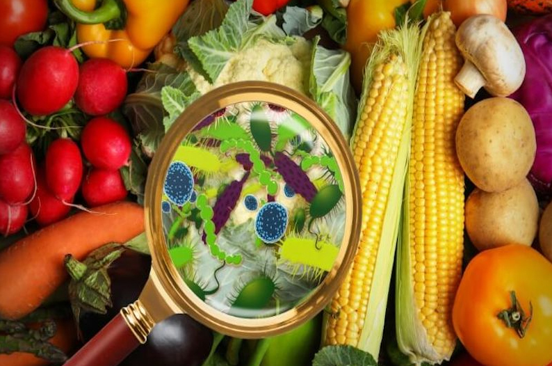 Thủ tướng yêu cầu tăng cường phòng ngừa ngộ độc thực phẩm