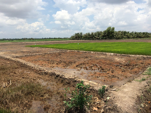 Đồng Nai quy định mới về việc xây dựng công trình trên đất nông nghiệp