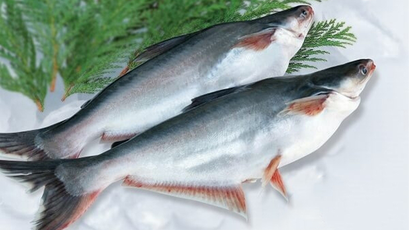 Xuất khẩu cá tra sang thị trường Iraq duy trì tăng trưởng dương