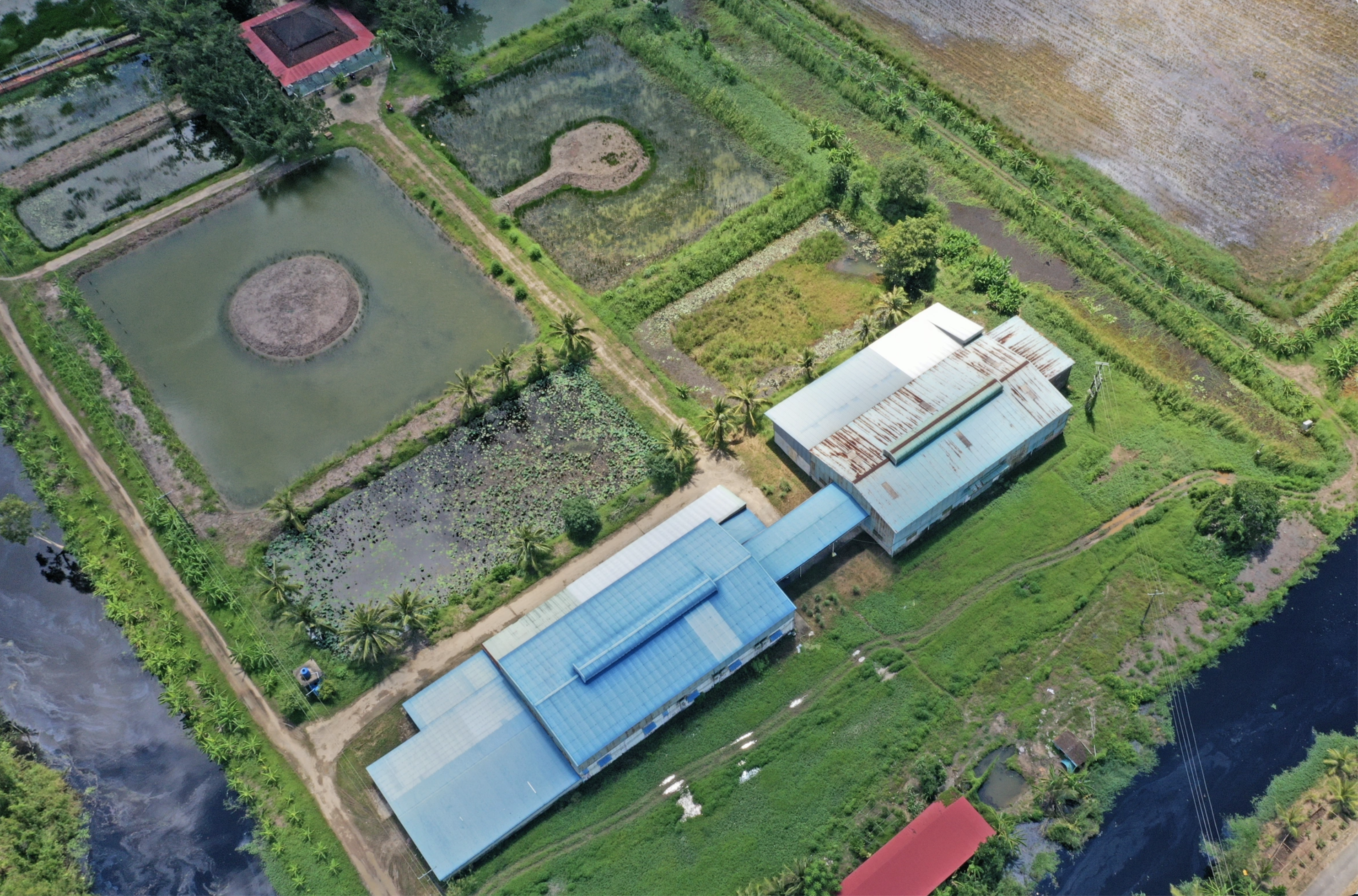 Công ty Viễn Phú xây trái phép nhà máy, văn phòng hơn 3ha trên đất lúa