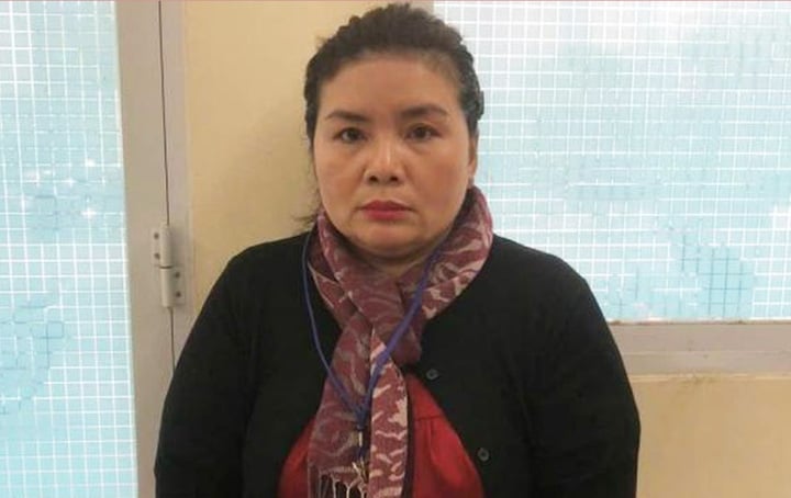 Lừa đảo chiếm đoạt tài sản, Giám đốc Công ty đo đạc bản đồ Đại An bị bắt tạm giam