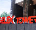Bức tranh tài chính khả quan của GELEX 