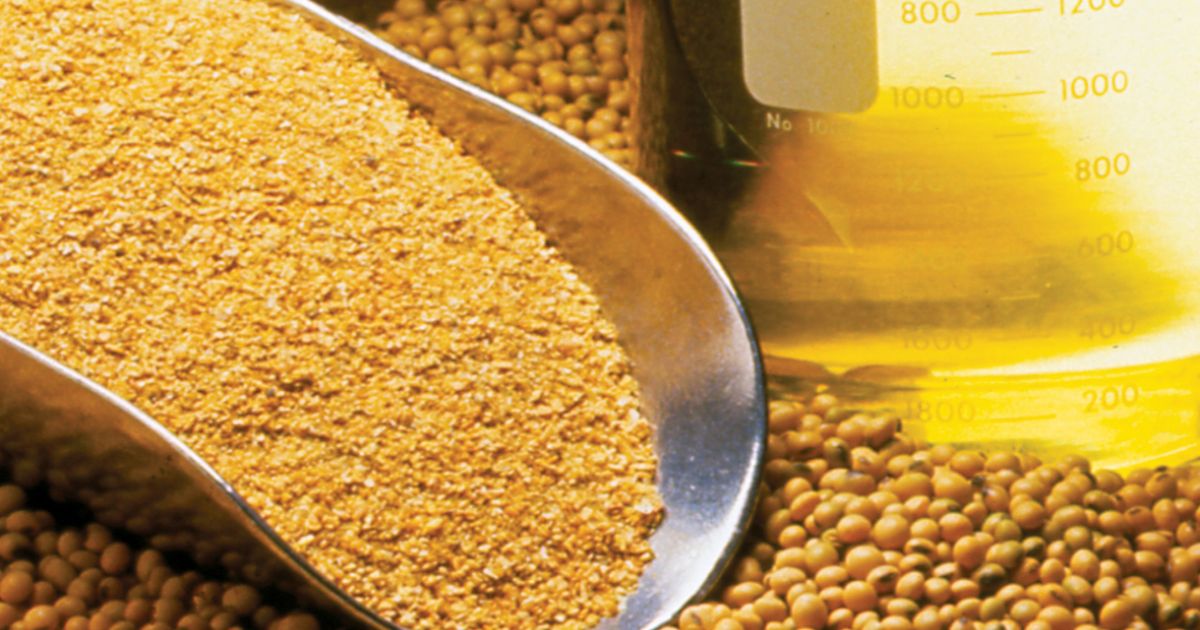  Điều chỉnh giảm thuế nhập khẩu nhiều mặt hàng từ ngày 1612 