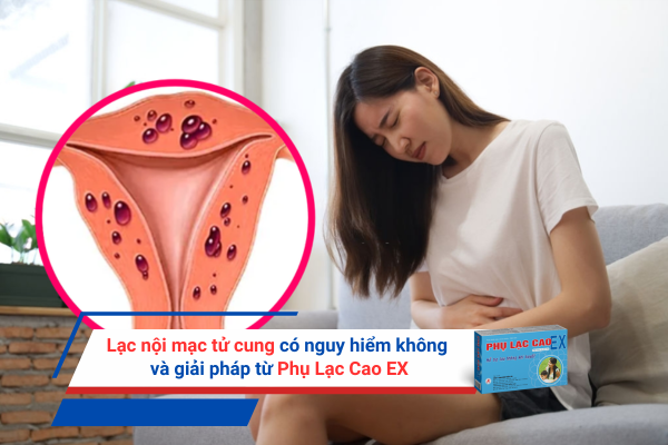 Lạc nội mạc tử cung có nguy hiểm không và giải pháp từ Phụ Lạc Cao EX