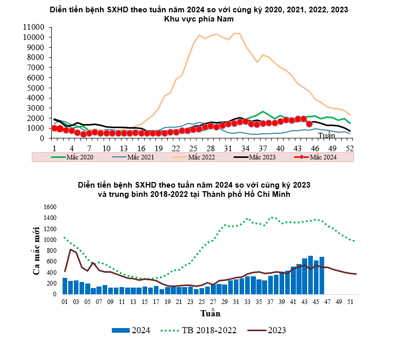 TPHCM Chủ động phòng, chống dịch bệnh Sốt xuất huyết