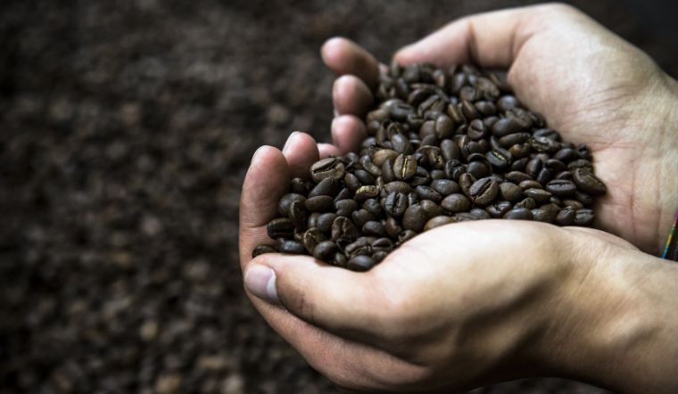 Phòng rủi ro trước biến động mạnh của giá cà phê