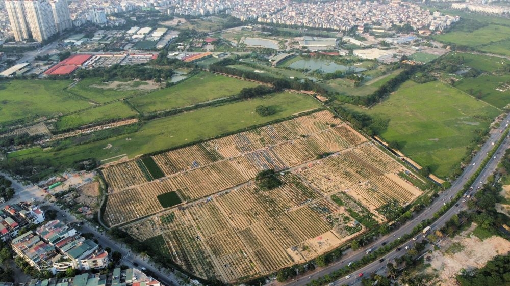 TPHCM ủy quyền cho TP Thủ Đức, quận, huyện quyết định mức hỗ trợ khi thu hồi đất