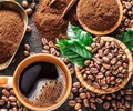 Giá cà phê tiếp đà tăng mạnh kỳ vọng đạt mốc giá trị xuất khẩu hơn 5,5 tỷ USD 