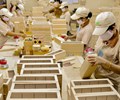 Ngành chế biến gỗ dự thu hơn 17 tỷ USD 